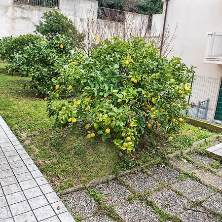 Апартаменты S287 - Sirolo, Con Giardino Vicino Al Centro